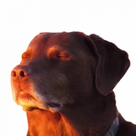 imChohn