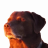 imChohn